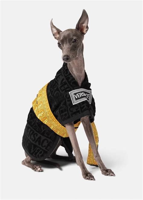 versace dog bathrobe|Versace Bathrobe! EVERYTHING YOU NEED TO KNOW!!!! Pet .